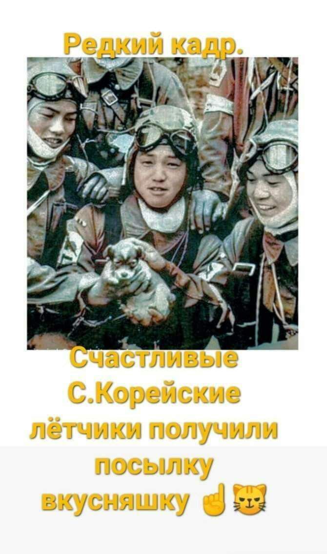 э г щими п он у чили посылку зі шишку 53