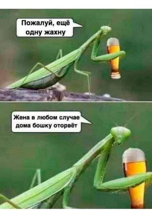 Пожалуй ещё _