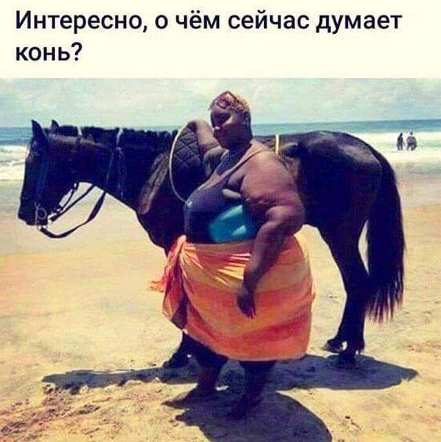 Интересно о чём сейчас думает конь