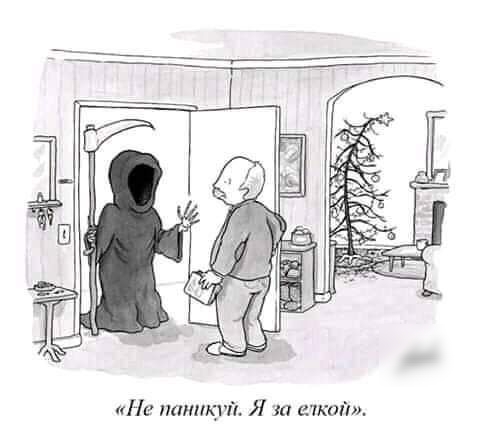 На паники Я то елкой