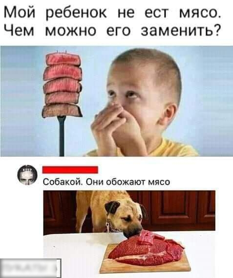 Мой ребенок не ест мясо Чем можно его заменить Т_д