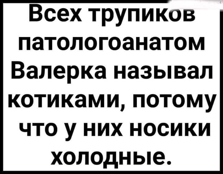 Всех трупиков патологоанатом Валерка называл котиками потому что у них носики холодные
