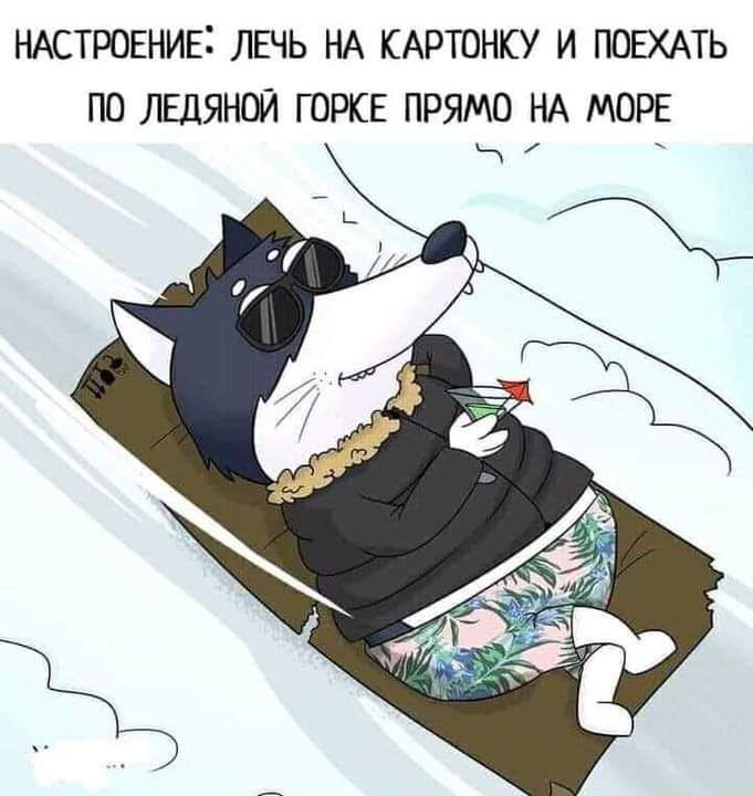 НАСТРОЕНИЕ ЛЕЧЬ НА КАРТОНКУ И ПОЕХАТЬ ПО ЛЕДЯНОЙ ГОРКЕ ПРЯМО НА МОРЕ 1