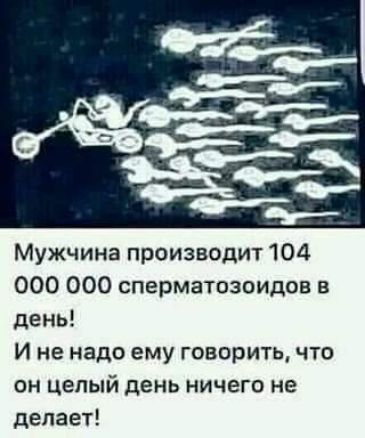 Мужчина производит 104 000 000 сперматозоидов в день И не надо ему говорить что он целый день ничего не делает