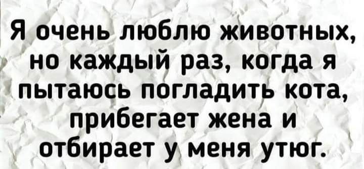Я очень люблю животных но каждый раз когда я пытаюсь погладить кота прибегает жена и отбирает уменя утюг