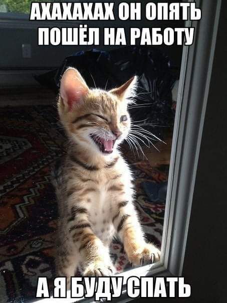 он опять ППШЁП А МБШ