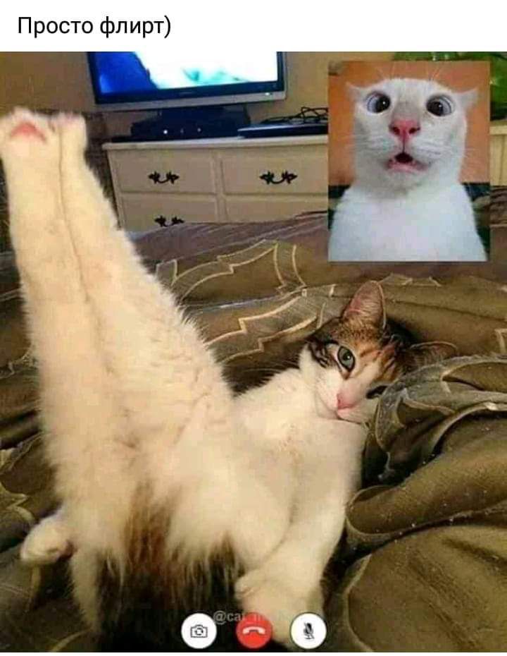 П росто фл ирт