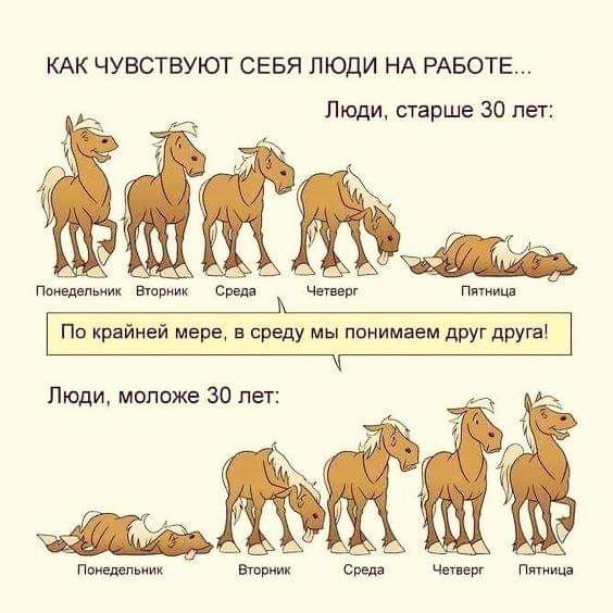 КАК ЧУВСТБУЮТ СЕБЯ ЛЮДИ НА РАБОТЕ Люди старше 30 пет Помним Втприик чты Пти По крайней мере в среду мы понимаем друг друга ёё Поивдшвиик Вториик чат ещ Пят иии