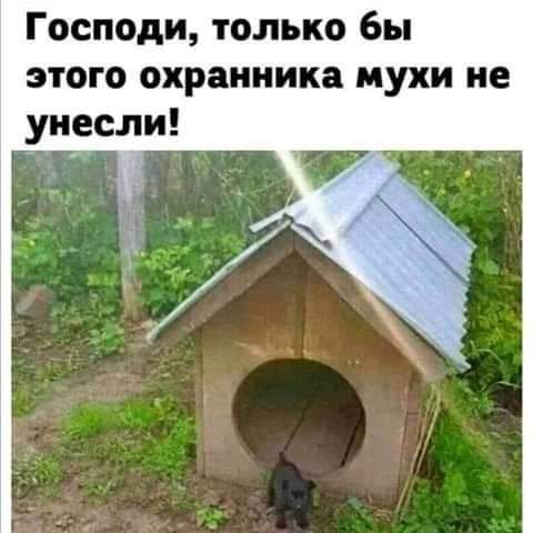Господи только бы этого охранника мухи не унесли