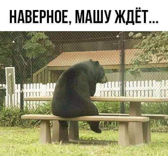 НдВЕРНОЕ МАШУ ЖДЁТ