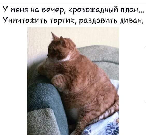 У меня на вечер кровожадный план Уничтожить тортик раздавить диван