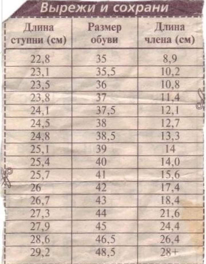 Вырежи и сохрани Длина Размер длина ступни сы обуви члена см 228 89 231 10 2 23 5 108 241 12 245 127 2448 133 251 14 254 140 Е 5_6 Е 174 267 183 273 2163 71 27 9 244 286 264 292 485 28