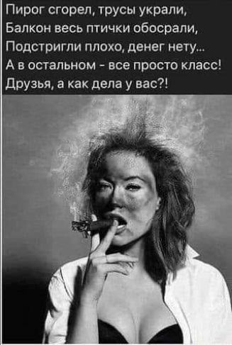 Пирог сгорел трусы украли Балкон весь птички обосрапи Подстригли плохо денег нету А в остальном все просто класс друзья а как дела у вас
