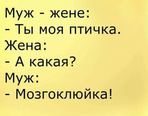 Муж жене Ты моя птичка Жена А какая Муж Мозгоклюйка