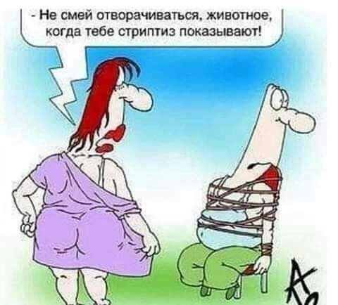 Не шей отворачиваться животное когда тебе стриптиз показывают