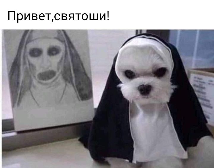 Приветсвятоши