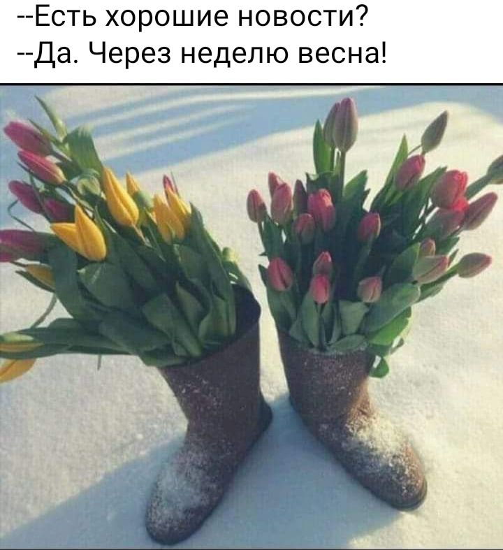 Есть хорошие новости Да Через неделю весна