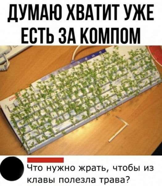 дУМАЮ ХВАТИТ УЖЕ ЕСТЬ ЗА КПМППМ _ дем ц Что нужно жрать чтобы из клавы полезла трава