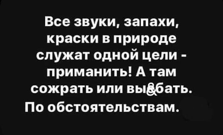 Все звуки запахи краски в природе служат одной цели приманить А там сожрать или выдбать По обстоятельствам