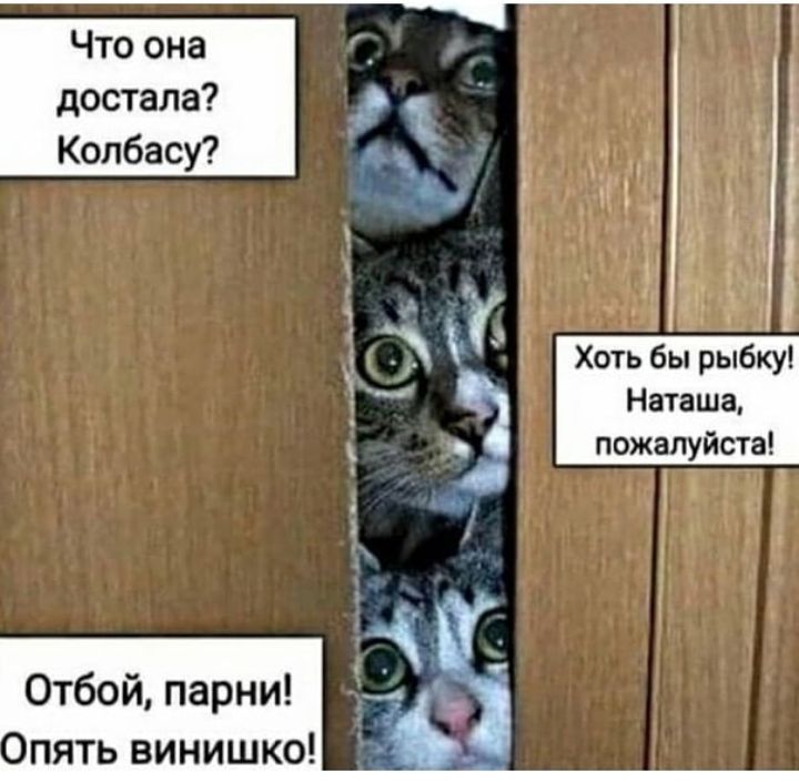 Что она достала Колбасу _ Хоть бы рыбку Наташа пожалуйста Отбой парни пять винишко