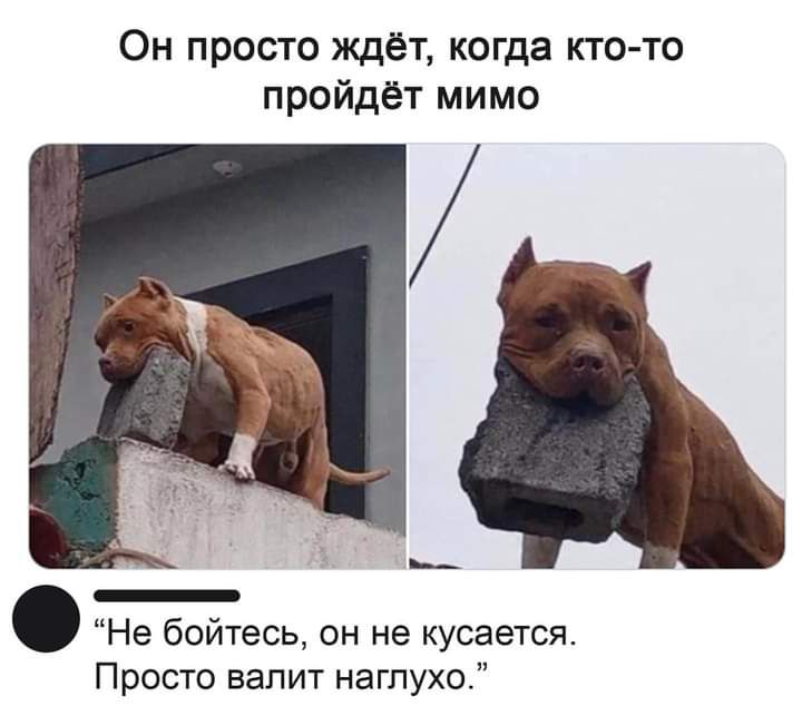 Сучья разбор