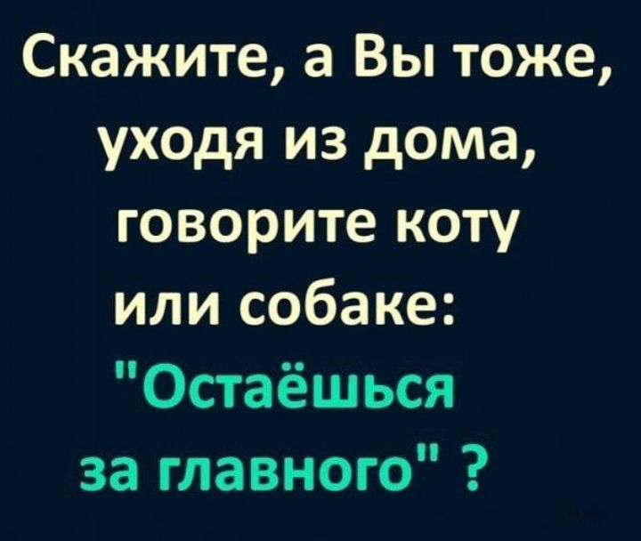 Скажите а Вы тоже уходя из дома говорите коту или собаке Остаёшься за главного