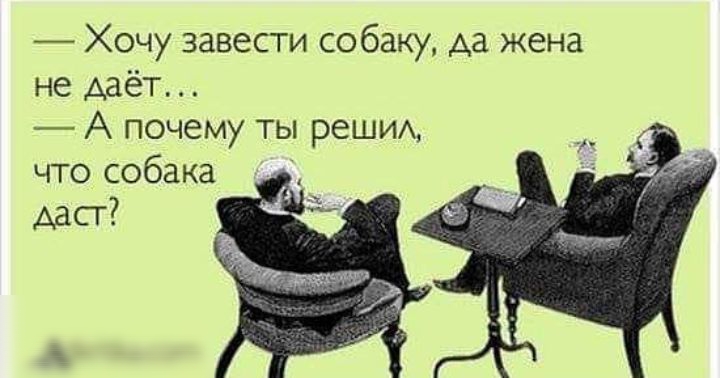 Хочу завести собаку Аа жена не даёт А почему ты решим что собака Аасг и