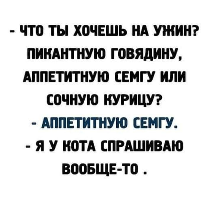 ЧТО ты ХОЧЕШЬ НА УЖИН ПИНАНТНУЮ ШВЯДИНУ АППЕТИТНУЮ СЕМГУ ИЛИ СОЧНУЮ НУРИЦУ АППЕТИТНУЮ СЕМГУ Я У КОТА СПРАШИВАЮ ВОБЩЕ Т0