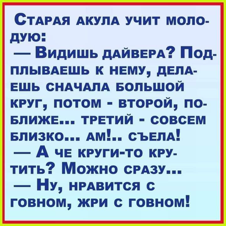 СТАРАЯ АКУЛА УЧИТ МОЛО дую Видишь дАйВЕРА Под плывмгшь к таму дЕПА ешь СНАЧАЛА Большой круг потом второй по влижв третий совсем Близко Ам сЪЕПА А ЧЕ круги то кру тить Можно СРАЗУ НУ НРАвится с говном шт с говном