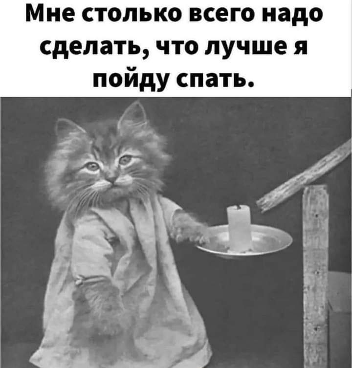 Мне столько всего надо сделать что лучше я пойду спать