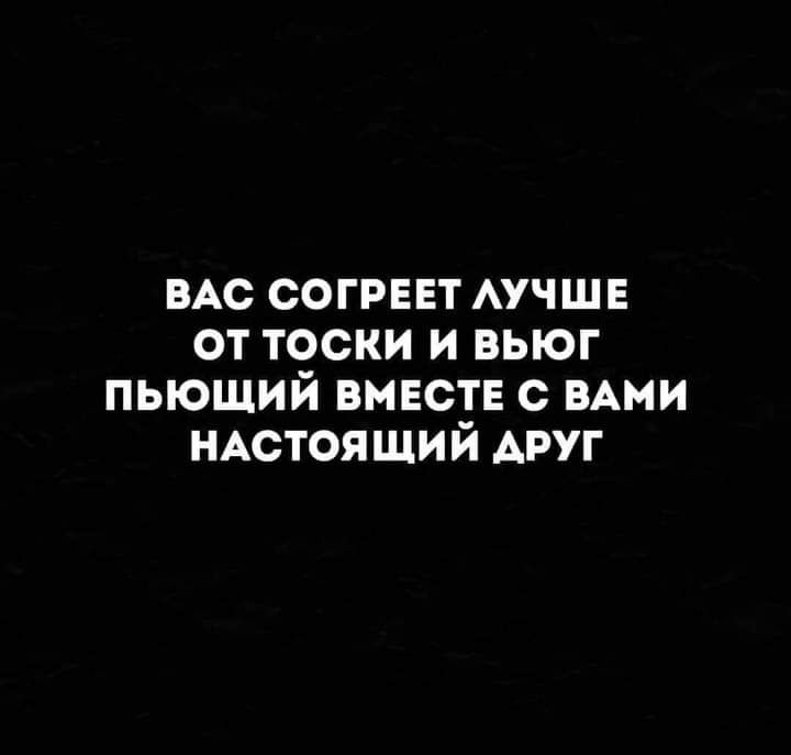 ВАС СОГРЕЕТ АУЧШЕ от тоски и вьюг пьющий вмест с ВАми НАстояший друг