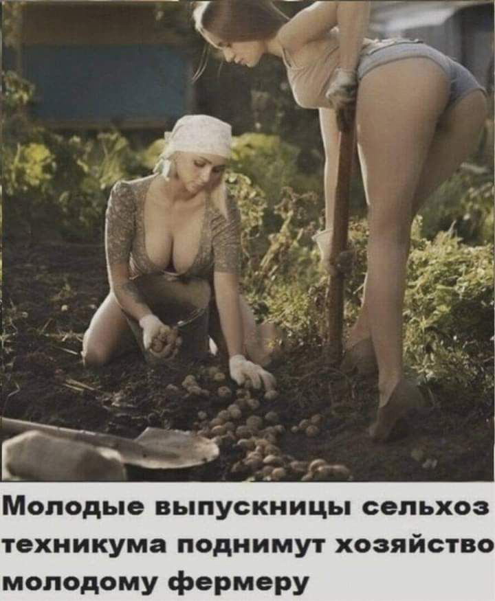 и 1 1 г Р техникума поднимут хозяйство молодому фермеру