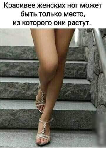 Красивее женских ног может бЫТЬ ТОЛЬКО МЕСТО из которого они растут