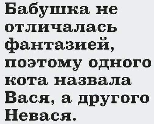 Бабушка не отличалась фантазией поэтому одного кота назвала Вася другого Невася
