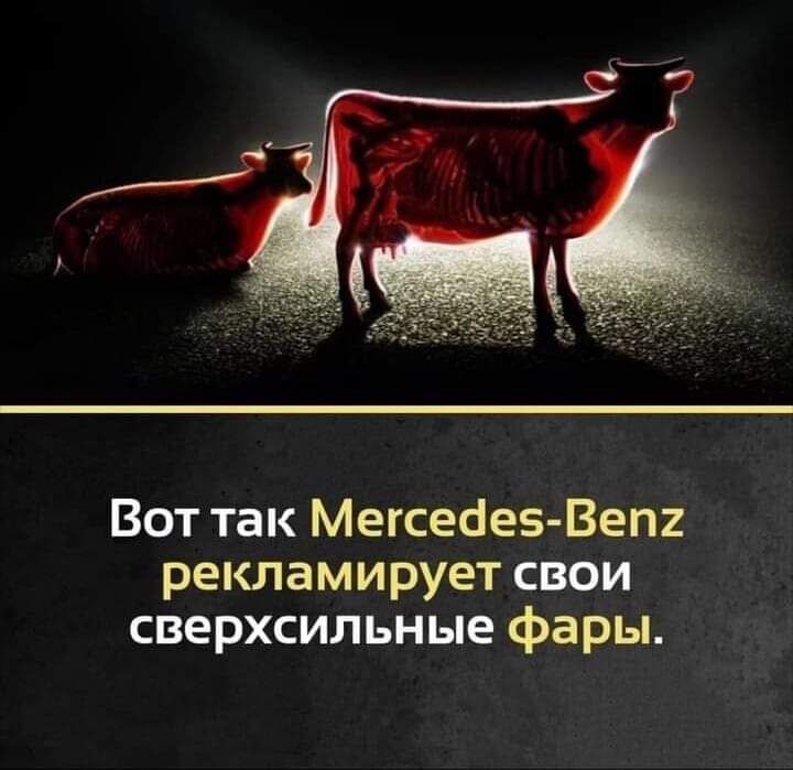 Вот так Мегсеаев Вепг рекламирует свои сверхсильные фары