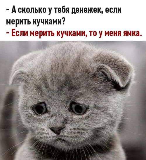А сколько у тебя денежек если мерить кучками Если мерить кучками то у меня ямка 3 іі ч инт