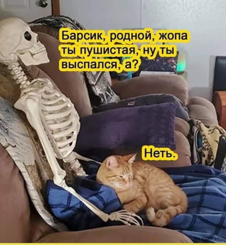 у гп 11