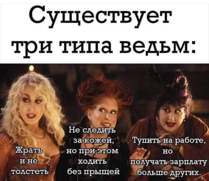 Существует три типа ведьм Не сдедитіъ за кожей на работе ЖратЪ но при этом но и не ходить получать зарплату толстеть без прыщей больше других