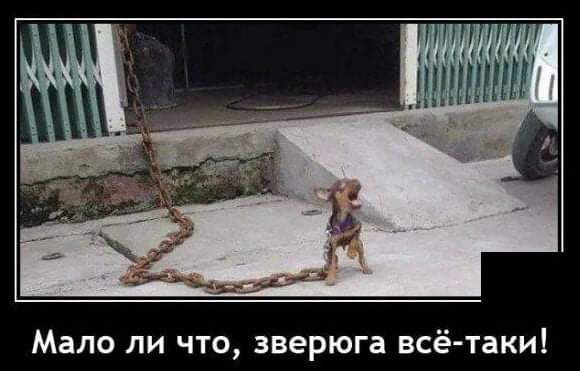 таки Мало ли что зверюга всё