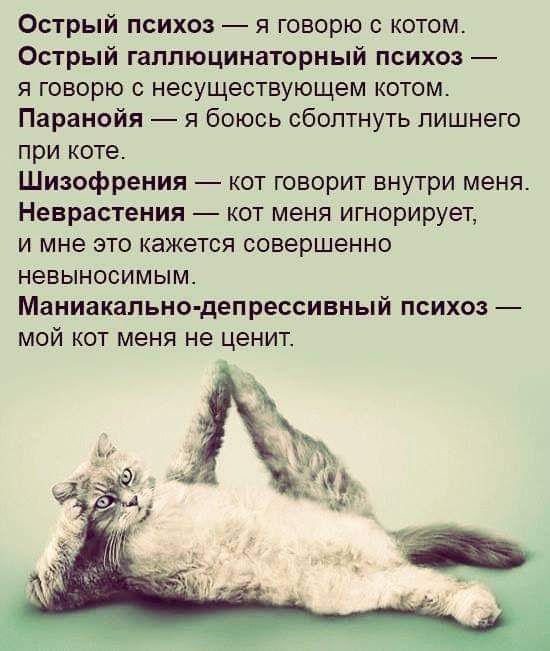 Острый психоз я говорю с котом Острый гаплюцинаторный психоз я говорю с несуществующем котом Паранойя я боюсь сбоптнуть лишнего при коте Шизофрения кот говорит внутри меня_ Неврастения кот меня игнорирует и мне это кажется совершенно НеВЫНОСИМЫМ Маниакапьно депрессинный ПСИХОЗ МОЙ КОТ МЕНЯ не ценит