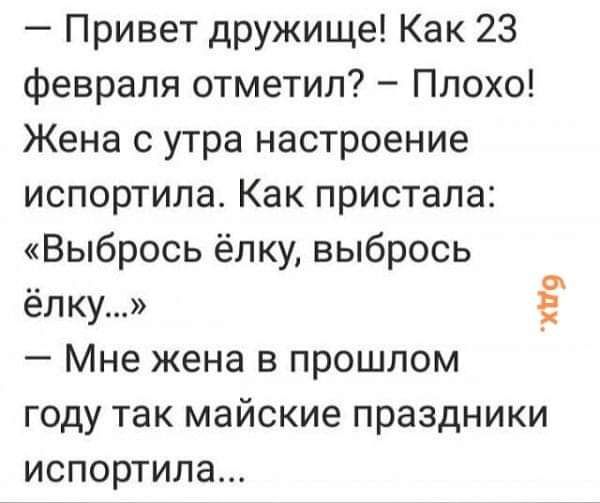 Привет дружище Как 23 февраля отметил Плохо Жена с утра настроение испортила Как пристала Выбрось ёлку выбрось ёлку Ё Мне жена в прошлом году так майские праздники испортила