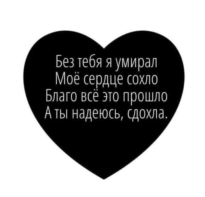 Без тебя я умирал Мое сердце сохло Благо все эсо прошло Аты надеюсь сдохла