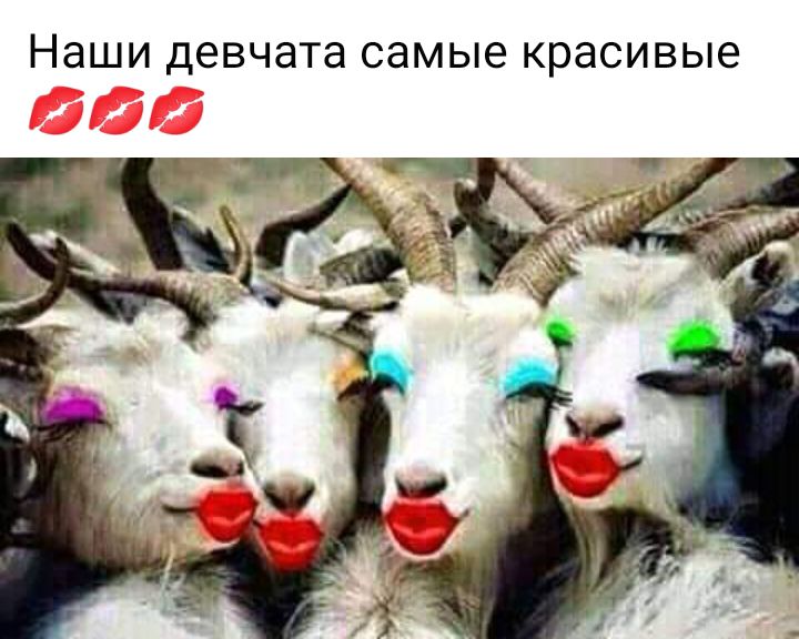 Наши девчата самые красивые
