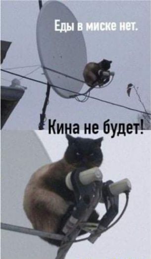 гм