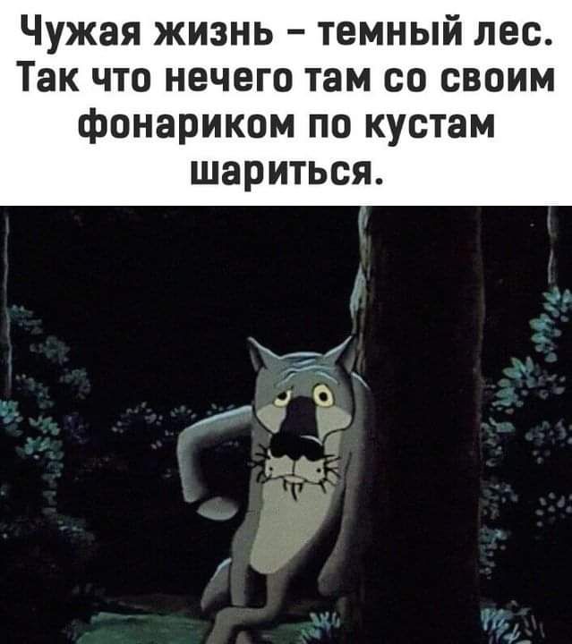 Чужая жизнь темный лес Так что нечего там со своим фонариком ПО КУСТЗМ шариться