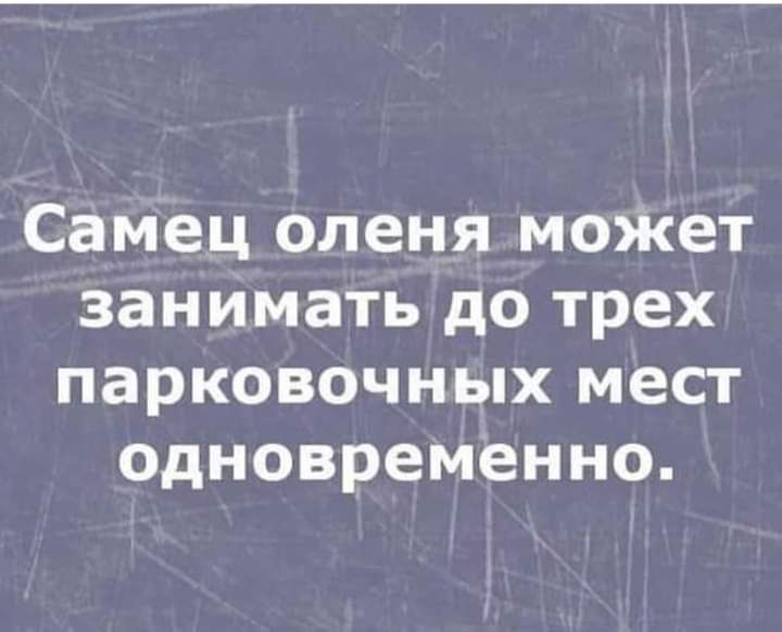 Самец оленя может занимать до трех парковочных мест одновременно