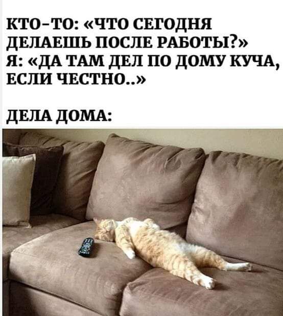КТО ТО ЧТО СЕГОДНЯ дЕПАЕШЬ ПОСЛЕ РАБОТЫ Я дА ТАМ дЕП ПО дОМУ КУЧА ЕСТШ ЧЕСТНО дЕЛА домд