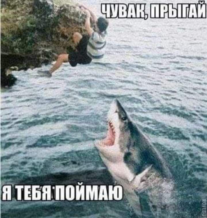 _твьпгпоймдю