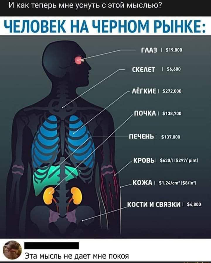 И как теперь мне уснуть с этой мыслью ЧЕЛОВЕК НА ЧЕЙ ЮМ РЫНКЕ ГМЗ Мыши СКЕАЕТ 85500 АЁГКИЕ 272 опа ПОЧКА 5133 100 у ПЕЧЕНЬ 51370 у КРОВЬ 5301Ц5797ріпп КОЖА Мит звмч 7К0СТИ И СБЯЗКИ мвпп ЭТВ мысль не ДЭЕТ мне ПОКОЯ