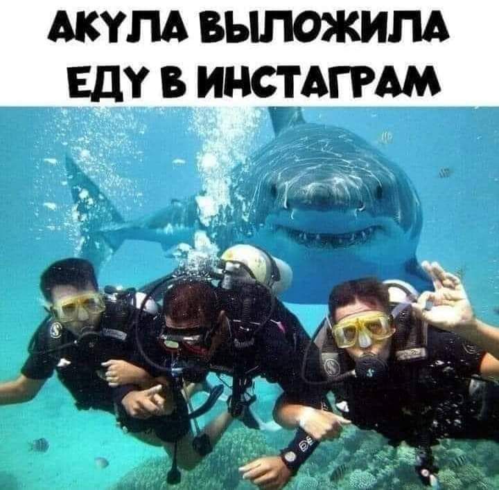 Атм выложим ШМСГГРАМ